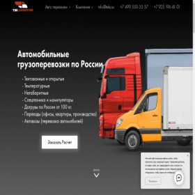 Скриншот главной страницы сайта teks.su