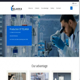 Скриншот главной страницы сайта telakka.pro