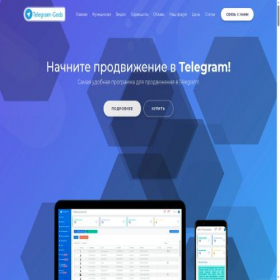 Скриншот главной страницы сайта telegram-soft.info