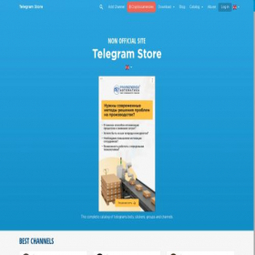 Скриншот главной страницы сайта telegram-store.com
