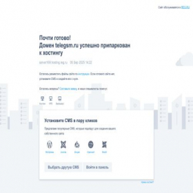 Скриншот главной страницы сайта telegsm.ru