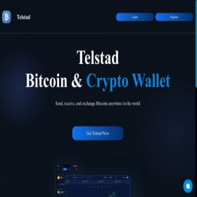 Скриншот главной страницы сайта telstad.com