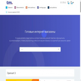Скриншот главной страницы сайта template-market.ru