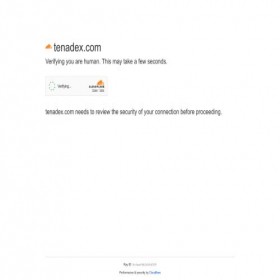Скриншот главной страницы сайта tenadex.com