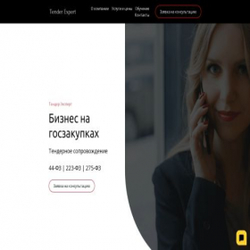 Скриншот главной страницы сайта tender-expert.com