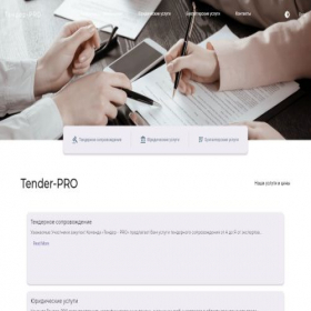 Скриншот главной страницы сайта tender-pro-24.ru