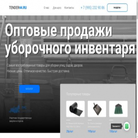 Скриншот главной страницы сайта tender44.ru
