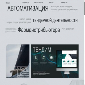 Скриншот главной страницы сайта tendim.ru