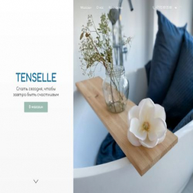 Скриншот главной страницы сайта tenselle.ecwid.com