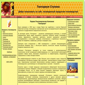 Скриншот главной страницы сайта tenstupino.lightst.ru