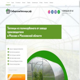 Скриншот главной страницы сайта teplica180.ru