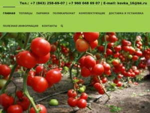 Скриншот главной страницы сайта teplici-povolzhya16.ru