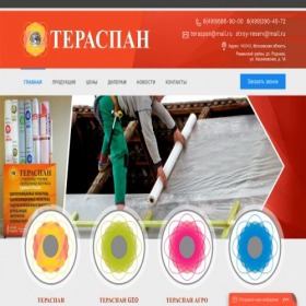 Скриншот главной страницы сайта teraspan.ru