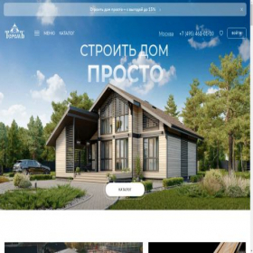 Скриншот главной страницы сайта terem-pro.ru