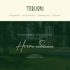 Скриншот главной страницы сайта terijoki-residence.ru
