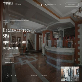 Скриншот главной страницы сайта termi.dp.ua