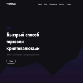 Скриншот главной страницы сайта termolo.com