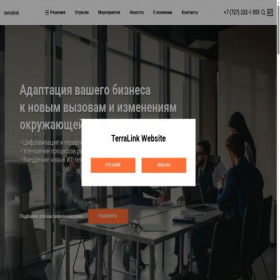 Скриншот главной страницы сайта terralink.kz