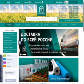 Скриншот главной страницы сайта terramic.ru