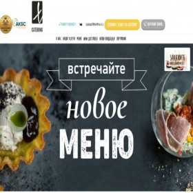 Скриншот главной страницы сайта terrine.ru