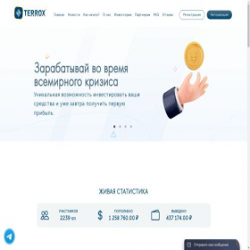 Скриншот главной страницы сайта terrox.cc