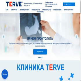 Скриншот главной страницы сайта terve39.ru