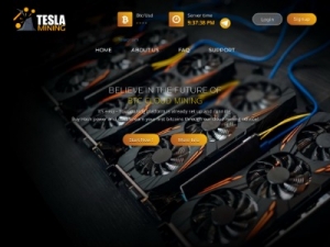 Скриншот главной страницы сайта teslamining.ltd