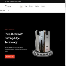Скриншот главной страницы сайта teslapiphones.shop