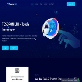 Скриншот главной страницы сайта tesoron.ltd