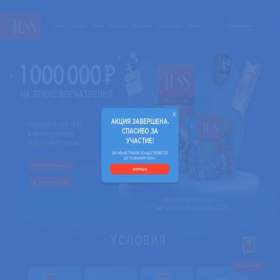 Скриншот главной страницы сайта tess-promo.ru