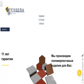 Скриншот главной страницы сайта tessera74.ru