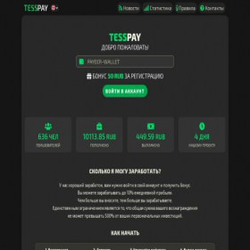 Скриншот главной страницы сайта tesspay.fun
