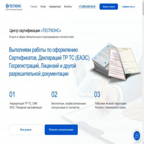 Скриншот главной страницы сайта test-cons.ru