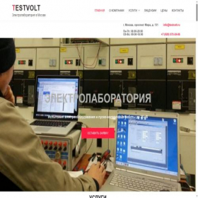 Скриншот главной страницы сайта testvolt.ru