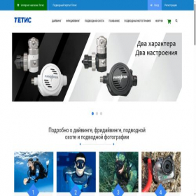 Скриншот главной страницы сайта tetis.ru