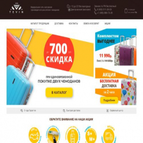 Скриншот главной страницы сайта tevinrus.ru