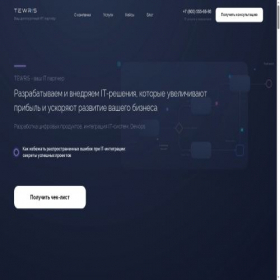 Скриншот главной страницы сайта tewris.com