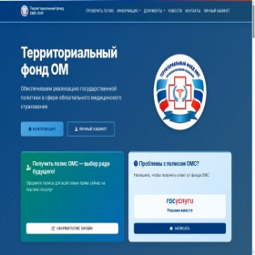 Скриншот главной страницы сайта tfomslnr.ru