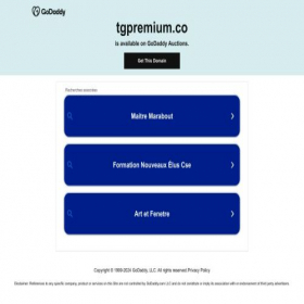 Скриншот главной страницы сайта tgpremium.co