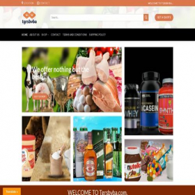 Скриншот главной страницы сайта tgrsbvba.com
