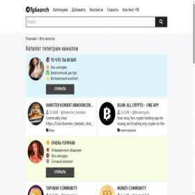 Скриншот главной страницы сайта tgsearch.org