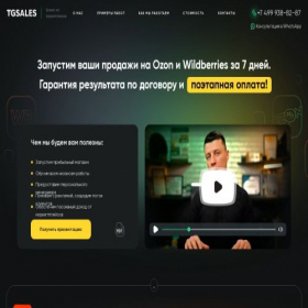 Скриншот главной страницы сайта tgsls.com