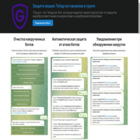 Скриншот главной страницы сайта tguard.pro