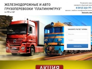 Скриншот главной страницы сайта thenewpltnm.host