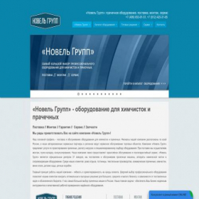 Скриншот главной страницы сайта thenovelgroup.ru