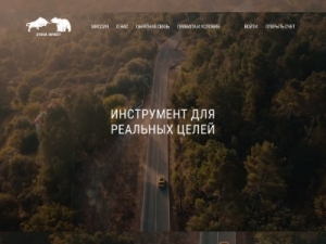 Скриншот главной страницы сайта thestockinvest.com