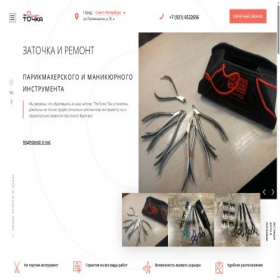 Скриншот главной страницы сайта thetochka.ru