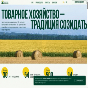 Скриншот главной страницы сайта tho.ru