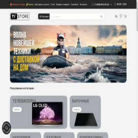 Скриншот главной страницы сайта ti-store.ru
