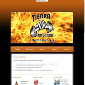 Скриншот главной страницы сайта tierra.nsk.ru